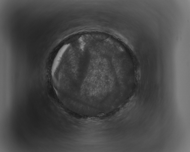 X0000100891496200807151046