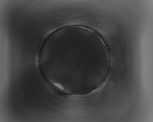 X0000100891497200807151046