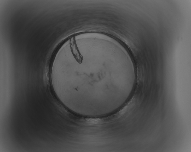 X0000100891498200807151046