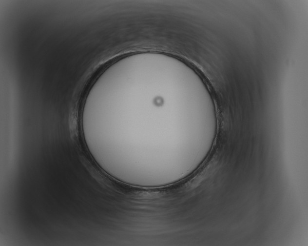 X0000100891499200807151046