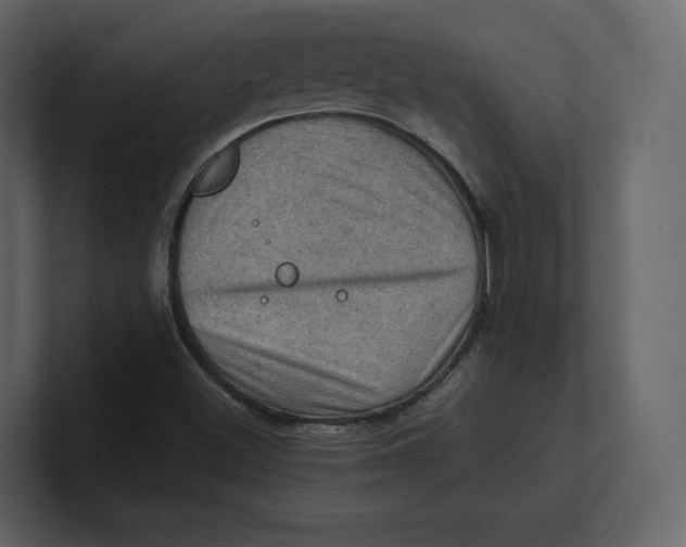 X0000100891500200807151046