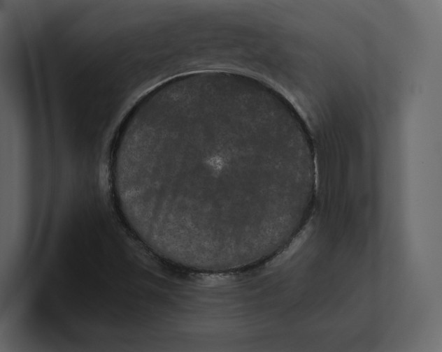 X0000100891501200807151046