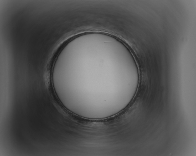 X0000100891503200807151046