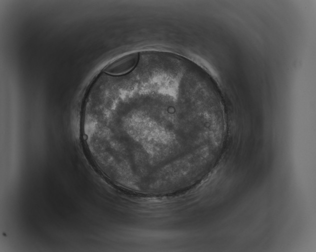 X0000100891504200807151046