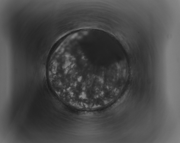 X0000100891505200807151046