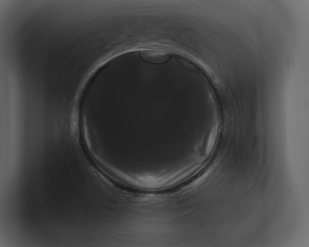 X0000100891506200807151046