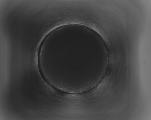 X0000100891508200807151046