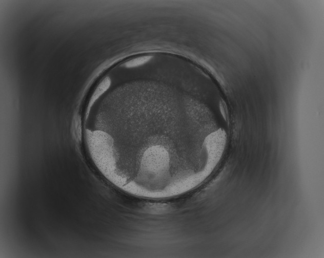 X0000100891509200807151046