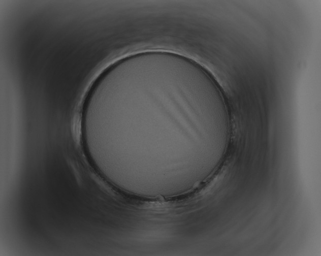 X0000100891511200807151046