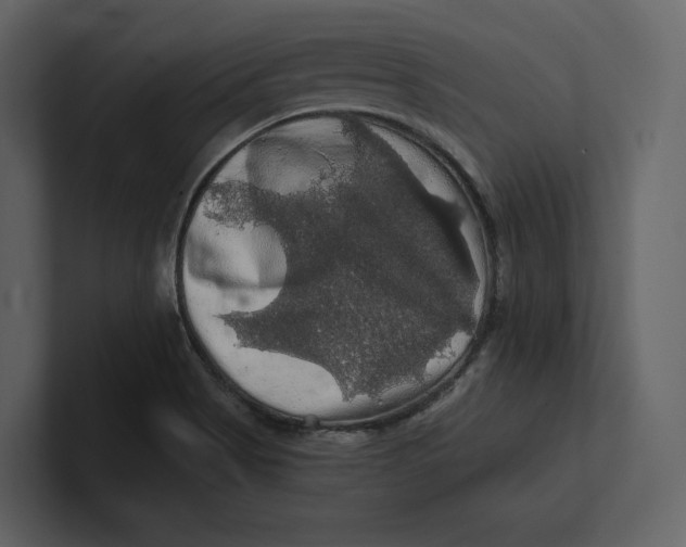 X0000100891513200807151046