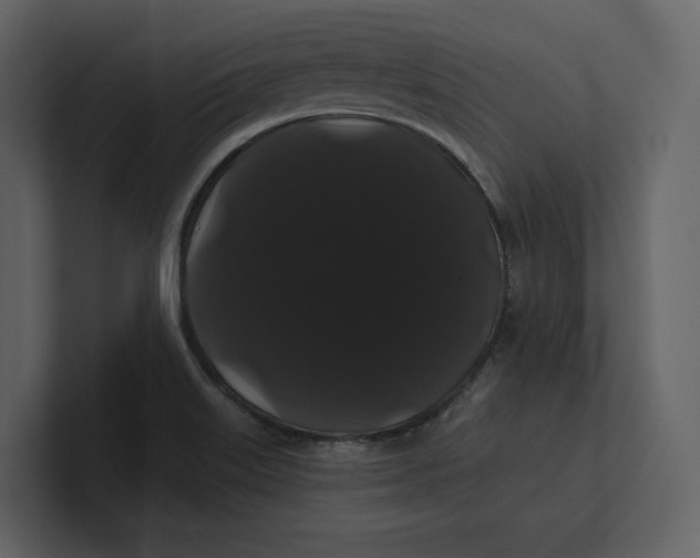 X0000100891515200807151046