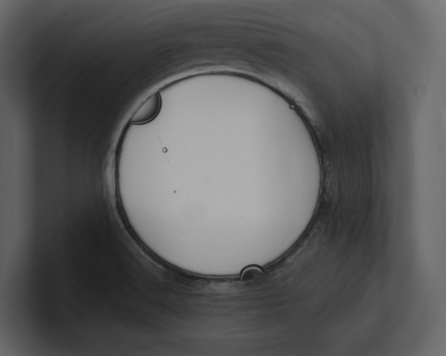 X0000100891516200807151046