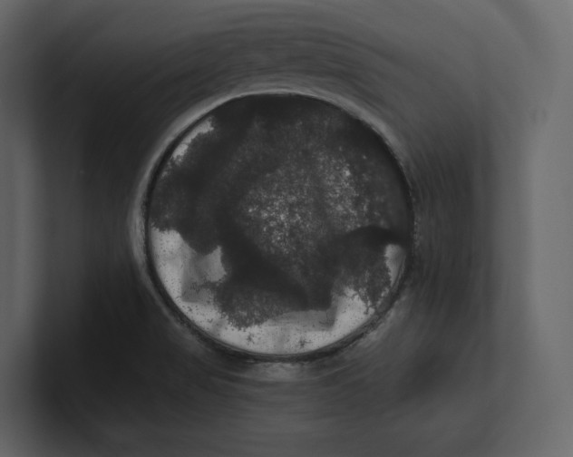 X0000100891517200807151046