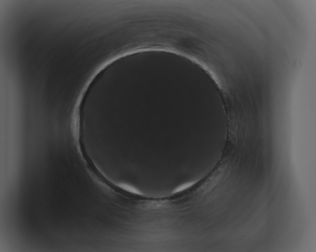 X0000100891519200807151046