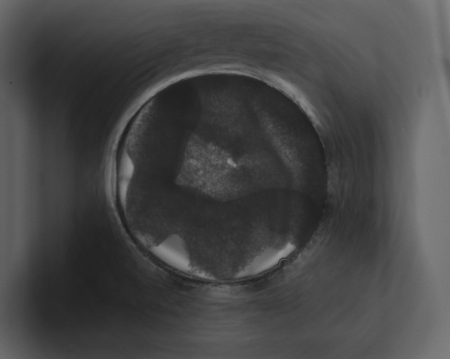 X0000100891520200807151046