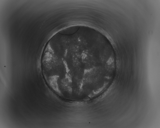 X0000100891521200807151046