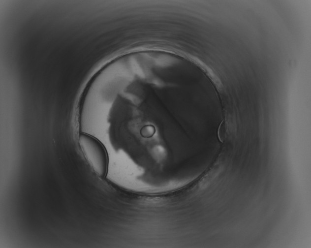 X0000100891522200807151047