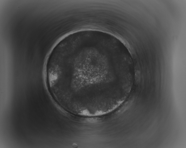 X0000100891523200807151047