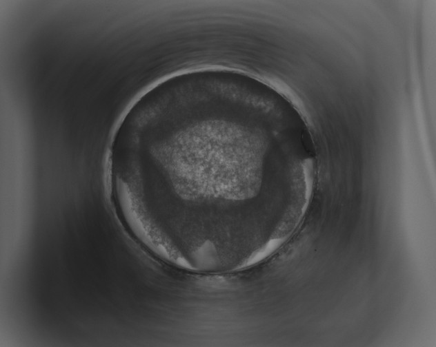 X0000100891524200807151047