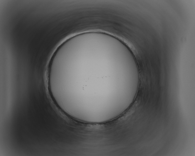 X0000100891526200807151047