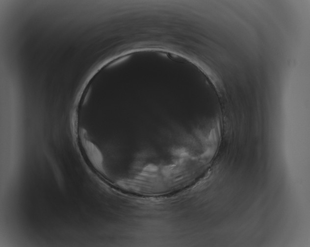 X0000100891527200807151047