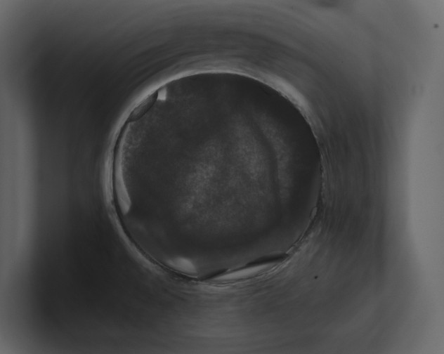 X0000100891528200807151047