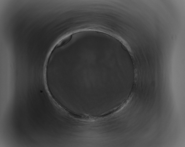 X0000100891530200807151047