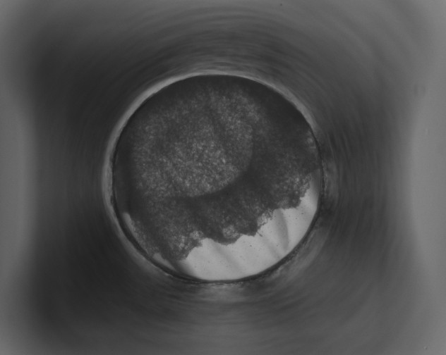 X0000100891531200807151047