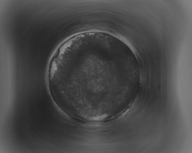 X0000100891532200807151047