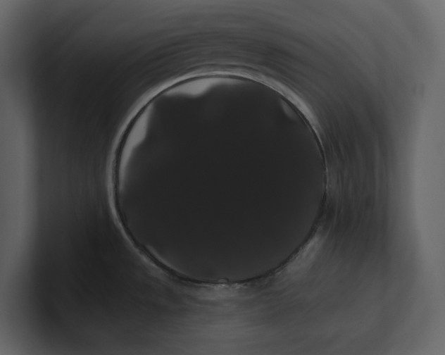 X0000100891533200807151047