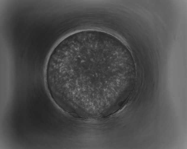 X0000100891536200807151047