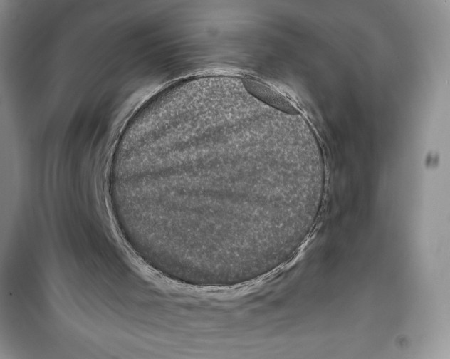 X0000100890001200807221002