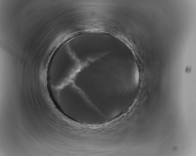 X0000100890002200807221002