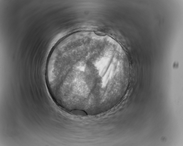 X0000100890003200807221002