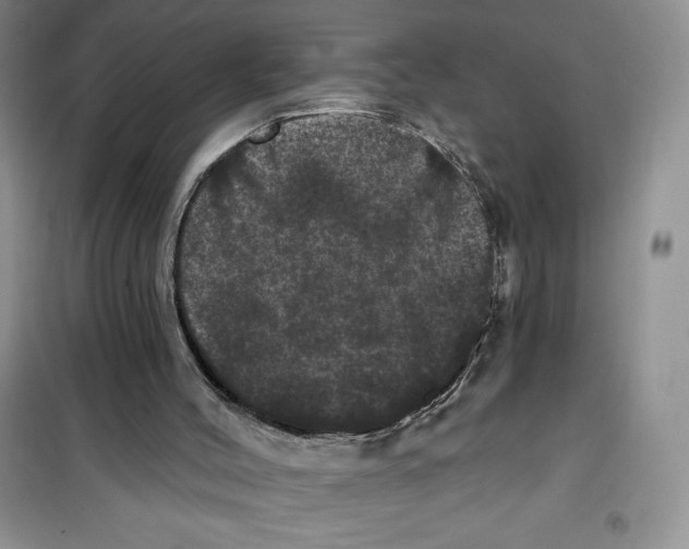 X0000100890004200807221002