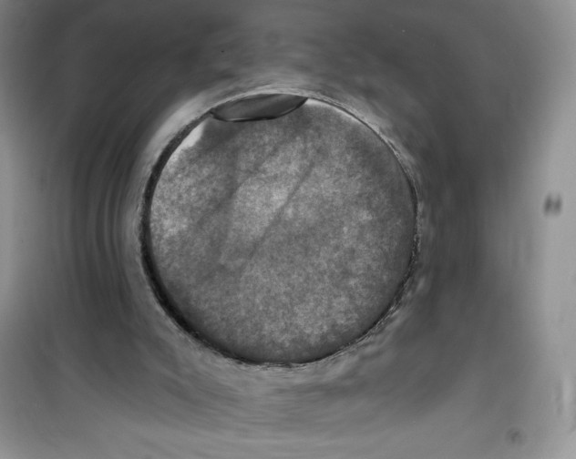 X0000100890007200807221002