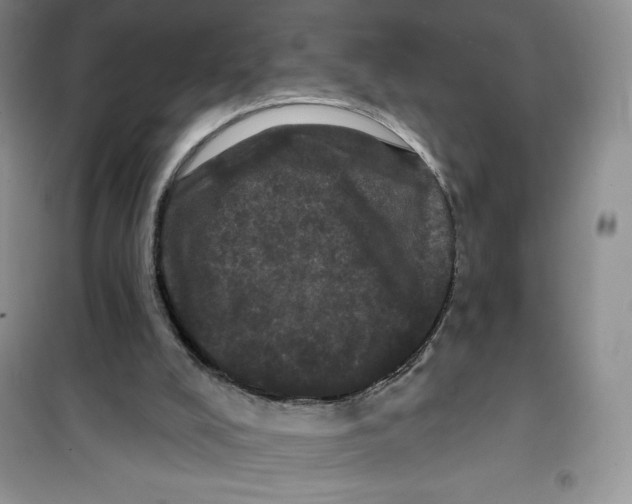 X0000100890008200807221002