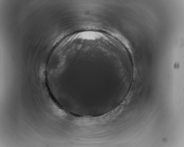 X0000100890009200807221002