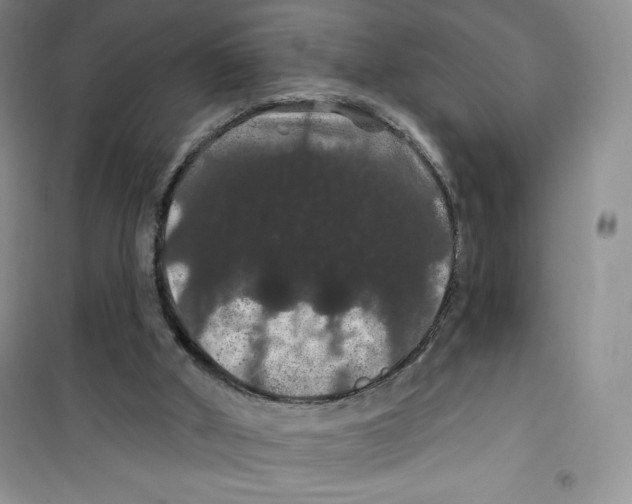 X0000100890010200807221002