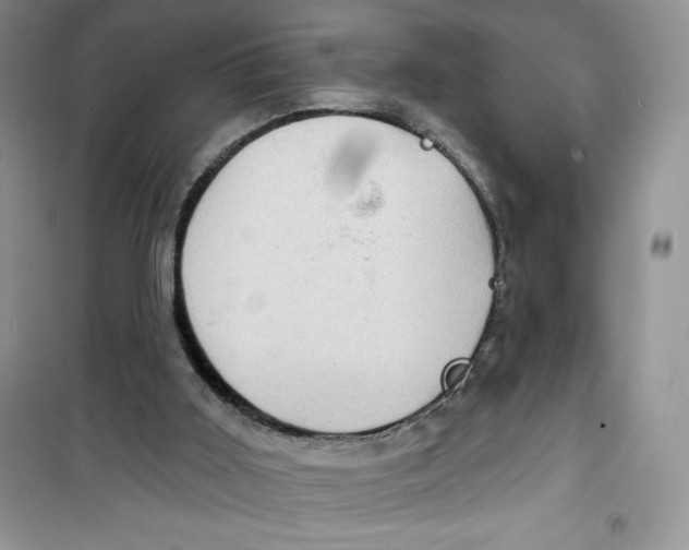 X0000100890011200807221002