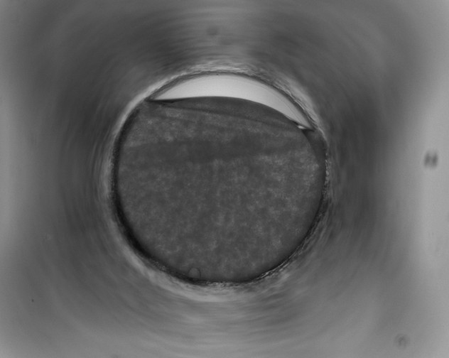 X0000100890012200807221002