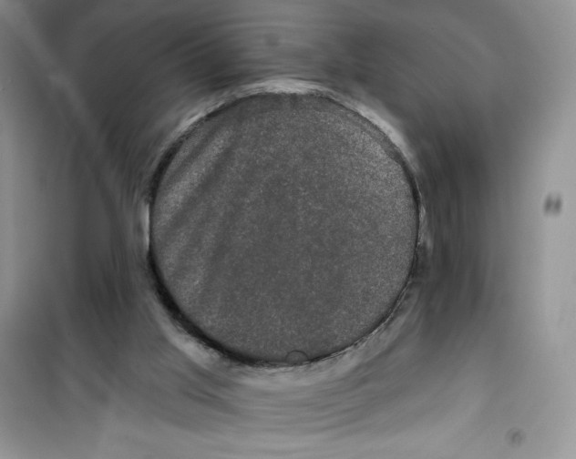 X0000100890013200807221002