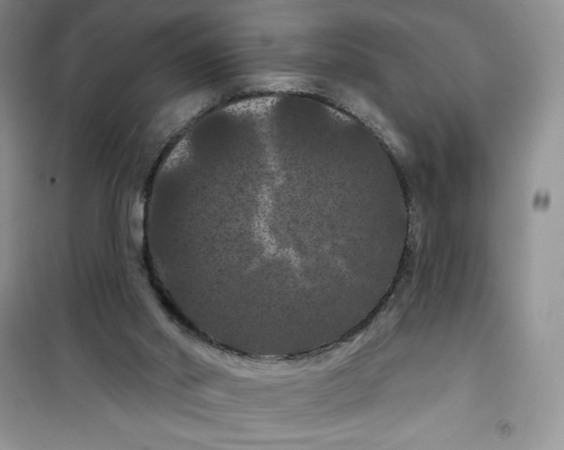 X0000100890014200807221002