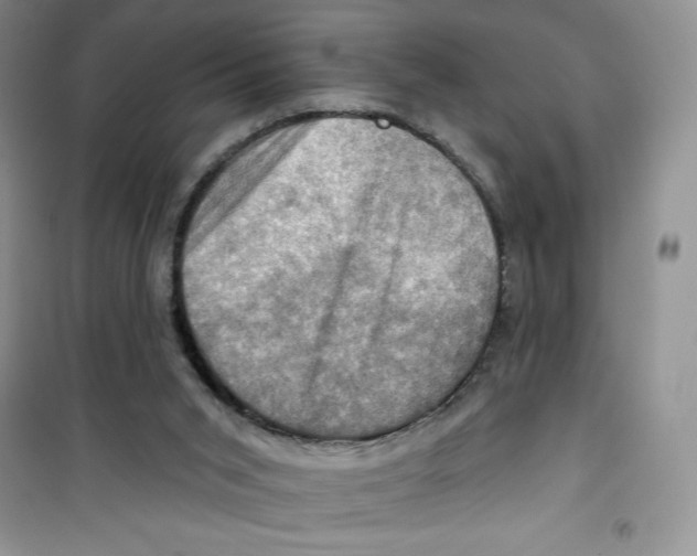 X0000100890015200807221002