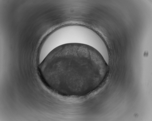 X0000100890016200807221002