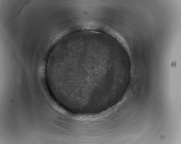 X0000100890017200807221002