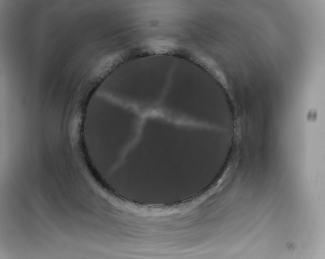 X0000100890018200807221002