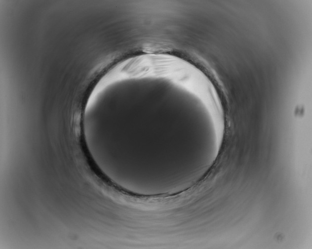 X0000100890019200807221002