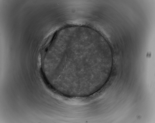 X0000100890020200807221002