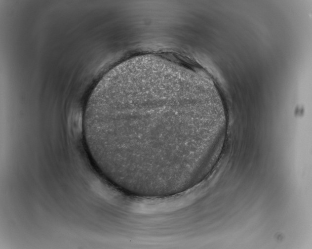 X0000100890021200807221002